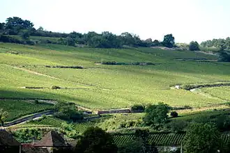French wine region of the Côte de Beaune, Côte d'Or