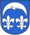 Coat of arms of Stadel bei Niederglatt