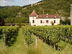 Cahors chateau and vineyard