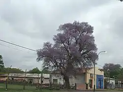 Street in Benjamín Aceval.