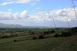 A panorama of Oristanese Campidano.