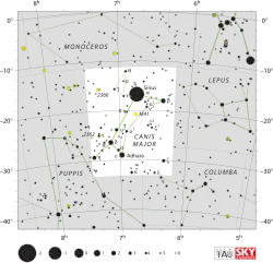 Canis Major