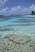 Clear lagoon shallows, Caroline Atoll