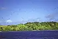 Brothers Islet, Caroline Atoll