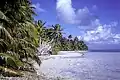 Lagoon side of South Islet, Caroline Atoll