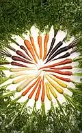 Carrots can come in different colors