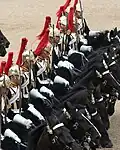 The Blues and Royals at the "Trooping of the Colour"