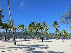 Beach in Cayo Levantado