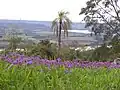 Farmland in the valley of the Uruguay River in Argentina