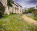 Gardens paying tribute to Myriam Rothschild