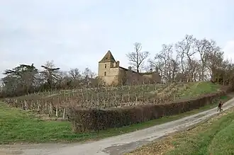 Chateau of Reveillon in Mirepoix