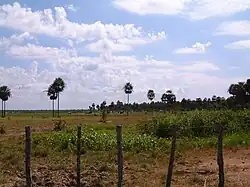 Cattle ranch, Presidente Hayes department.