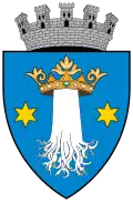 Coat of arms of Codlea