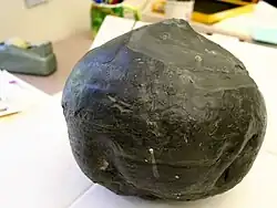 A greyish-brown round object with some pits and horizontal lines . The coal ball is on a white paper. The background contains a white sheet of paper, tape, and a mug on an office desk.