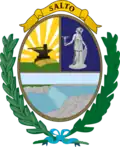 Coat of arms of Salto