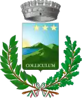Coat of arms of Collecchio