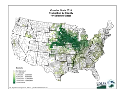2018 production of corn in the United States