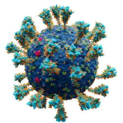 "Severe acute respiratory syndrome coronavirus 2"