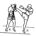 Side cover by the glove during an attack of roundhouse kick