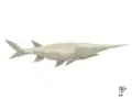 Restoration of Crossopholis