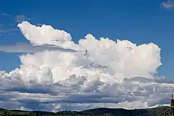 Cumulus Cloud