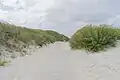 Way to the beach.