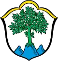 Coat of arms of Aschau i.Chiemgau