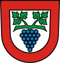 Coat of arms of Büsingen am Hochrhein