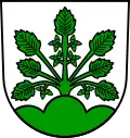 Coat of arms of Haslach im Kinzigtal