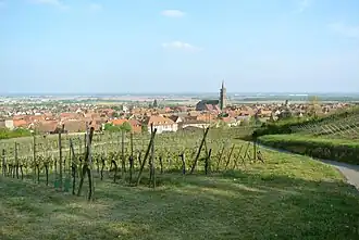 A general view of Dambach-la-Ville