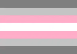 Demigirl flag