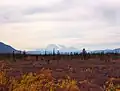 Denali seen from a distance of 100 miles (160&nbsp;km)