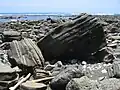 Beaches are interesting places to study geology,