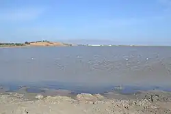 View from across the salt pond