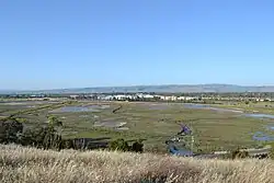 La Riviere Marsh
