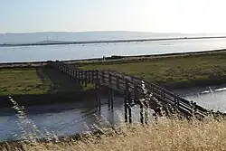 Salt pond, with the Dumbarton Bridge in the background
