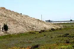 Freshwater slough and dry hill, summer 2005