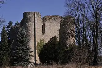 Donjon of Louy Castle