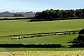 Dorset