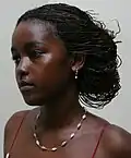Mini-braids and highlights