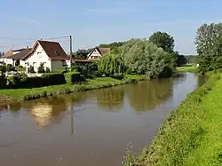 The Moder in Drusenheim.