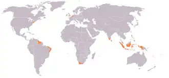 An anachronous map of the Dutch colonial Empire. Light green: territories administered by or originating from territories administered by the Dutch East India Company; dark green the Dutch West India Company.
Countries today
Netherlands Belgium Brazil India Indonesia Malaysia South Africa Sri Lanka Suriname Taiwan United States