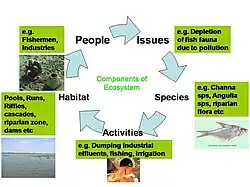 An ecosystem