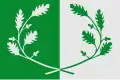 Flag of Eeklo