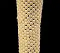 Butterfly eggs on a stalk.