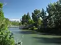 Elbow Park Roxboro Pedestrian Bridge