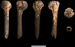 A humerus