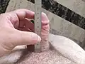 Shorter than average erect penis length Measured white penis Measured average erect penis Measured above average penis