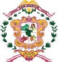 Official seal of San Martín Region