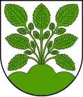 Coat of arms of Hasel